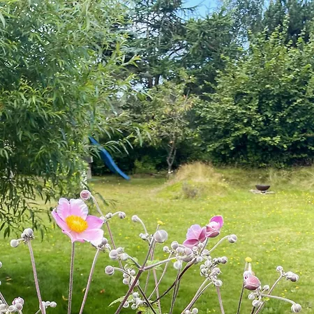 6 Person In Graested-by Traum Holiday home *